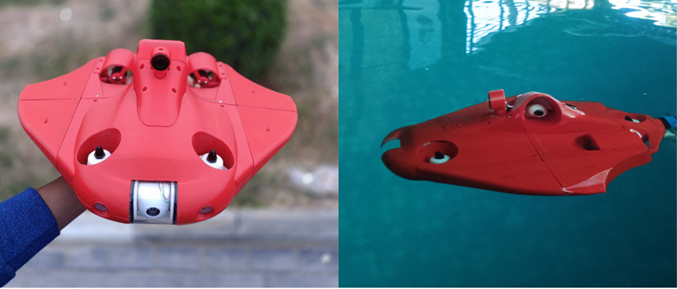 Underwater Robot for Inspection and Salvage